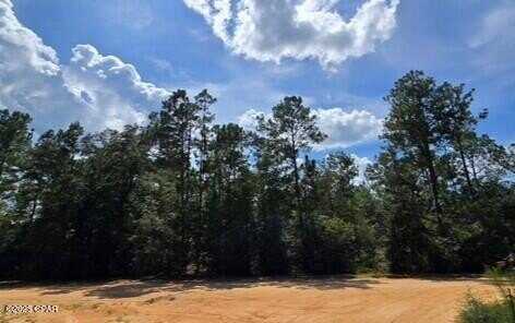 Lot 2 Jackson Road, Marianna, FL 32448