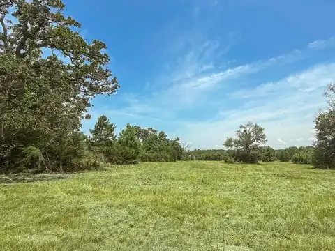 19822 Megan Street, Bedias, TX 77831