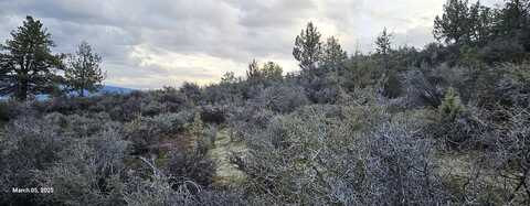 Lots 137 & 138 Tree Lane, Hornbrook, CA 96044