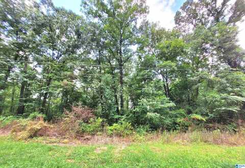000 BRYAN STREET, TALLADEGA, AL 35160