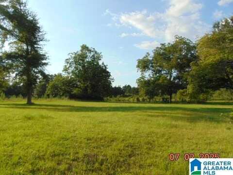 MARTIN STREET, THORSBY, AL 35045