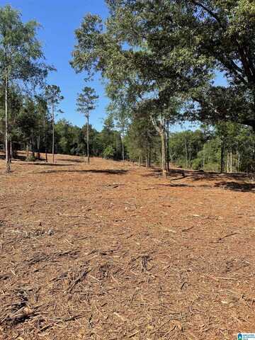 0 IRONATON ROAD, TALLADEGA, AL 35160