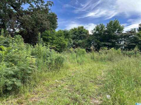 204 STAPP AVENUE, BESSEMER, AL 35022