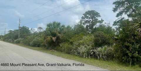 4660 Mount Pleasant Avenue, Grant-Valkaria, FL 32949