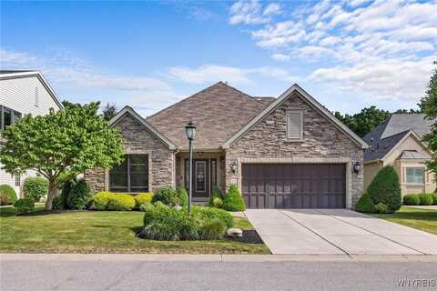 124 Harbridge, Amherst, NY 14221