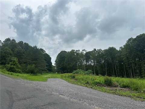 0000 Murphy Rd Road, Tully, NY 13159
