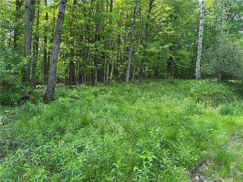 CR-48, Ellery, NY 14701
