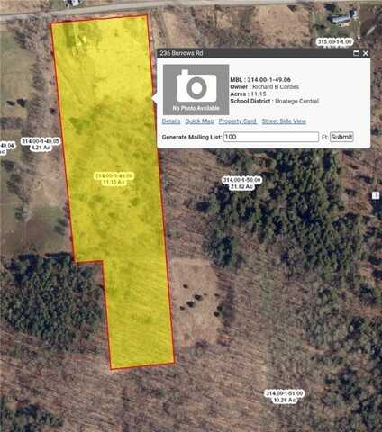 236 Burrows Road, Unadilla, NY 13849
