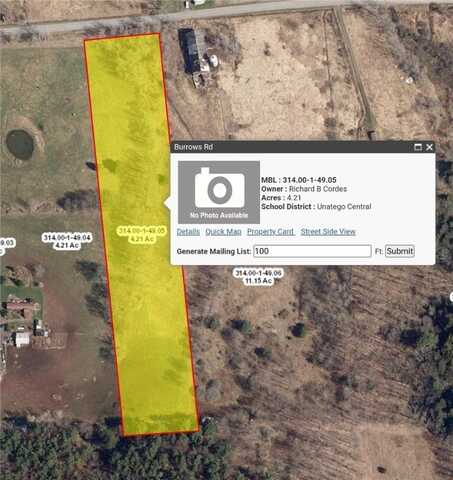 Burrows Road, Unadilla, NY 13849