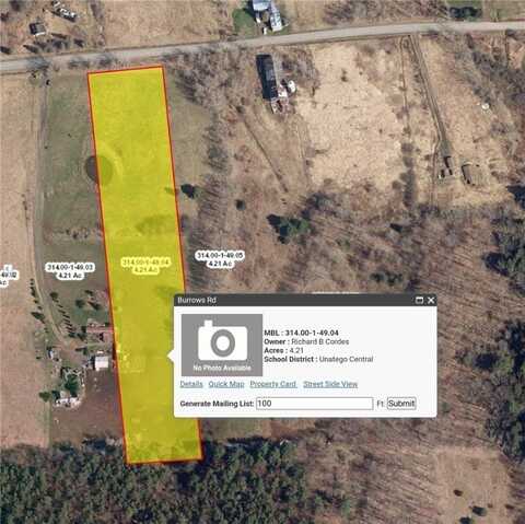 Burrows Road, Unadilla, NY 13849