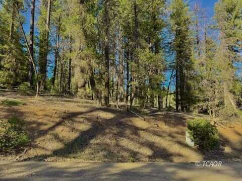 920 Chrome Mine Rd, Hayfork, CA 96041