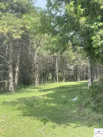 14767 A, Cole Camp, MO 65325