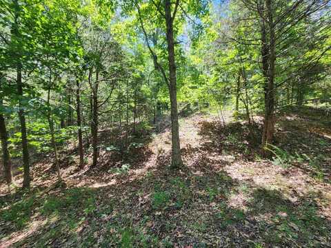 L10B9 Quarez, Cherokee Village, AR 72529