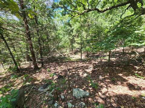 L35B2 Black Cloud Circle, Cherokee Village, AR 72529