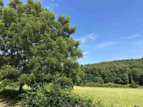 000 Denton Ferry Road, Cotter, AR 72626