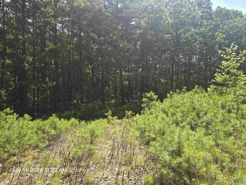 0 Sunnyvale Court, Fairfield Bay, AR 72088