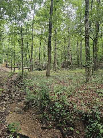 0 Pineywood Drive, Ringgold, GA 30736