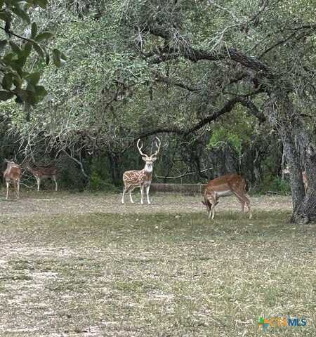 305 CR 305, Beeville, TX 78102