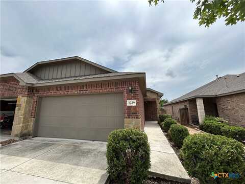 1239 Old FM 306, New Braunfels, TX 78130