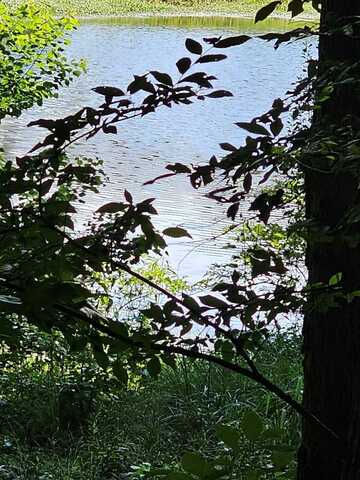 Lot21f LAKESHORE DRIVE, WAVERLY HALL, GA 31831