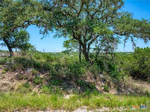 151 Nighthawk Lane, Canyon Lake, TX 78133
