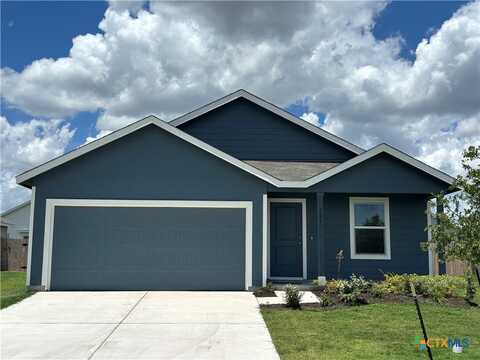 321 Bertram Oaks Drive, Bertram, TX 78605