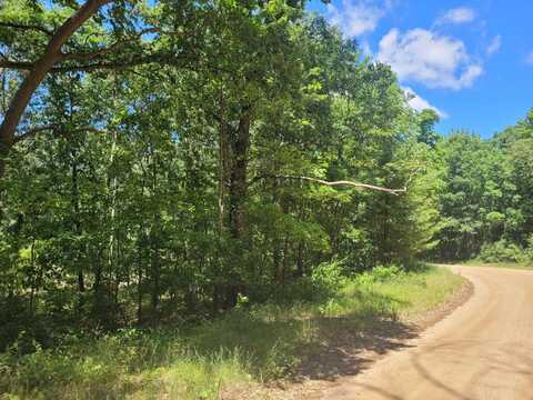 VL ROUND LAKE DRIVE, FENNVILLE, MI 49408