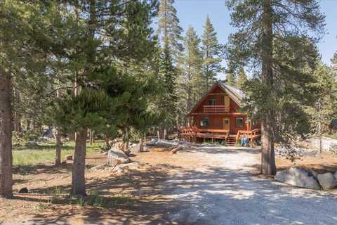 332 Salt Springs Trail, Tamarack, CA 95223