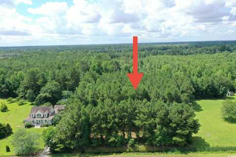 TBD Hamps Rd., Nichols, SC 29581