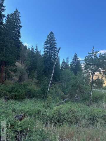 Tbd N Hwy 93, North Fork, ID 83466
