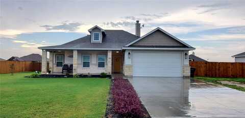 115 Longhorn Drive, Odem, TX 78370