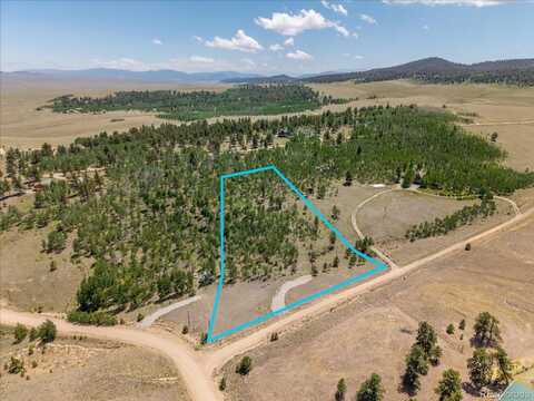 40 Brahma Court, Hartsel, CO 80449