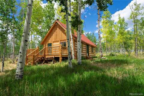 326 Canthook Lane, Fairplay, CO 80440