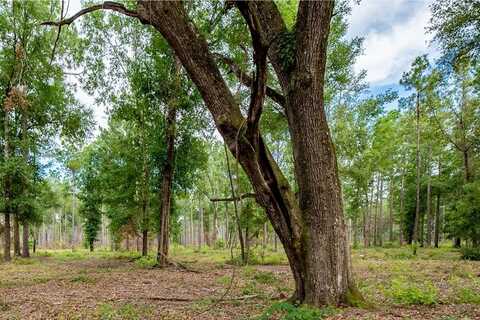 221 ac Crestview Road, Arlington, GA 39813
