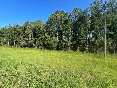 XXX Highway 44, Jayess, MS 39641
