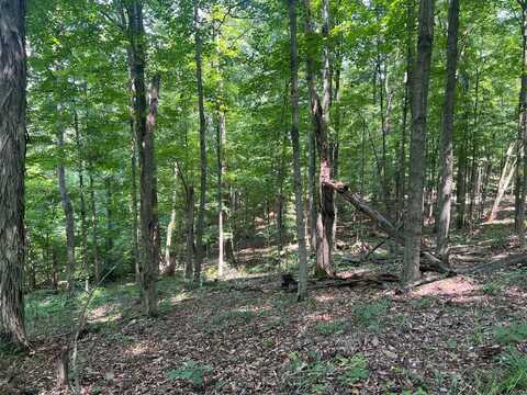 0 Thomas Road, Laurelville, OH 43135