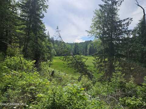 354 Swamp Donkey Trail, Sandpoint, ID 83864