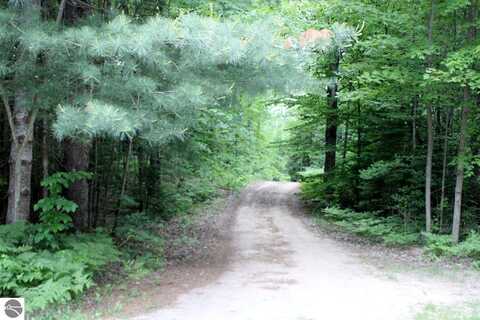 1016 Woodchuck Drive, Mancelona, MI 49659