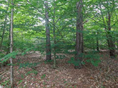 000 Winding Creek, Bear Lake, MI 49614