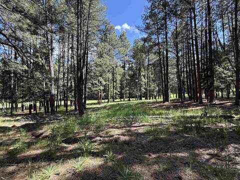 Lot 940 White Sands Circle, Angel Fire, NM 87710