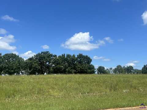24 Camden Way, Hawkinsville, GA 31036