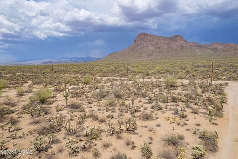 7305 N Van Ark Road, Tucson, AZ 85743