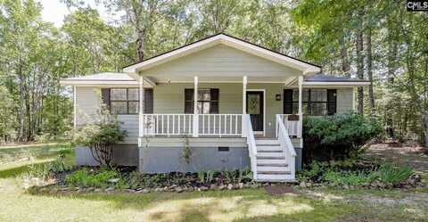 220 Lynch Lane, Chapin, SC 29036