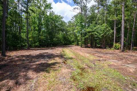 227 Maxie Road LOT 2, Lexington, SC 29072