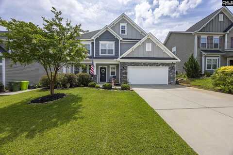 1250 Portrait Hill Drive, Chapin, SC 29036