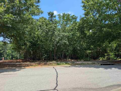 1060 Coogler Crossing Drive, Blythewood, SC 29016