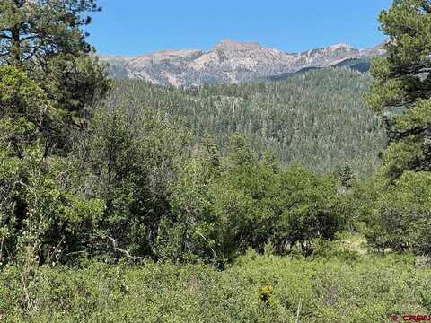 1800 Needles View Place, Pagosa Springs, CO 81147