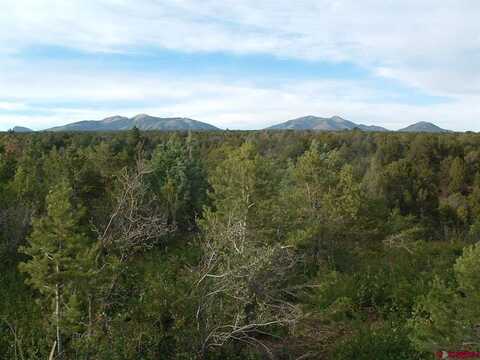TBD De Oro Way, Hesperus, CO 81326
