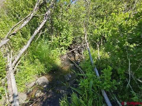 356 Church Creek Drive, South Fork, CO 81154