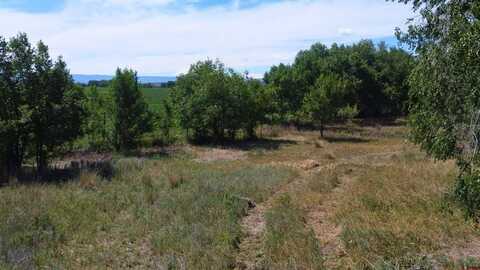 TBD Linn Avenue, Hotchkiss, CO 81419